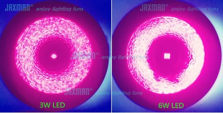 JAXMAN U1c 365nm s filtrem ZWB2
