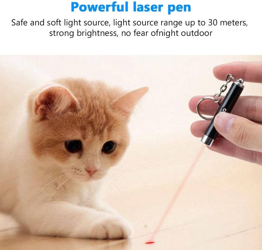 Miniaturní laserové ukazovátko pro kočky a psy 2v1